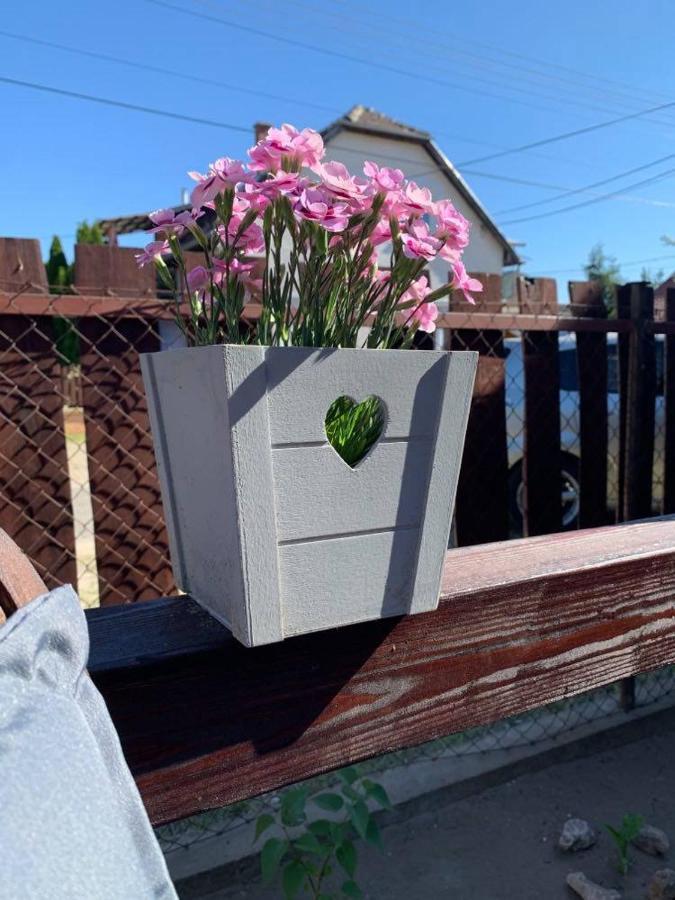 Mandi Apartman Veresegyház 外观 照片